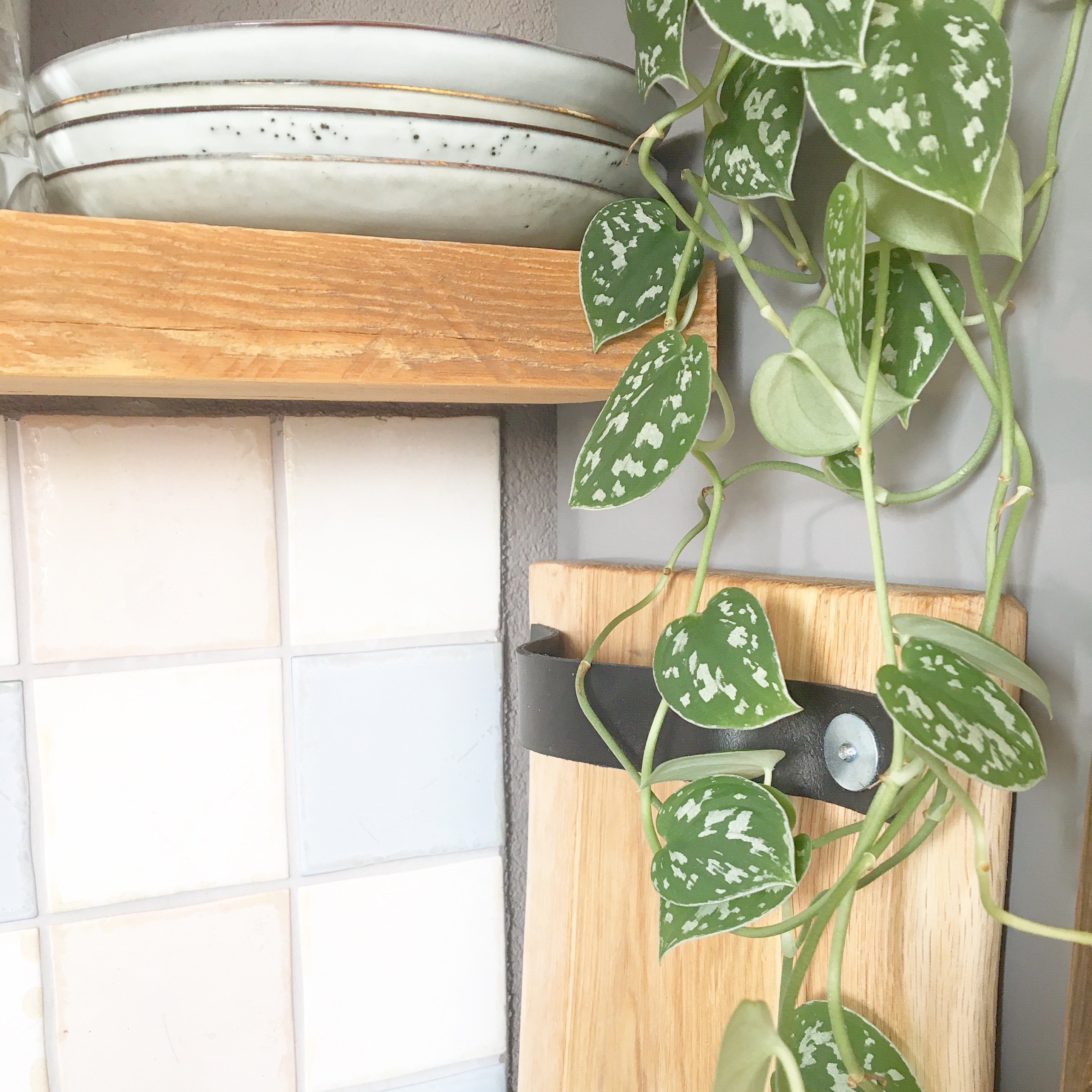 plant horecaplank keuken