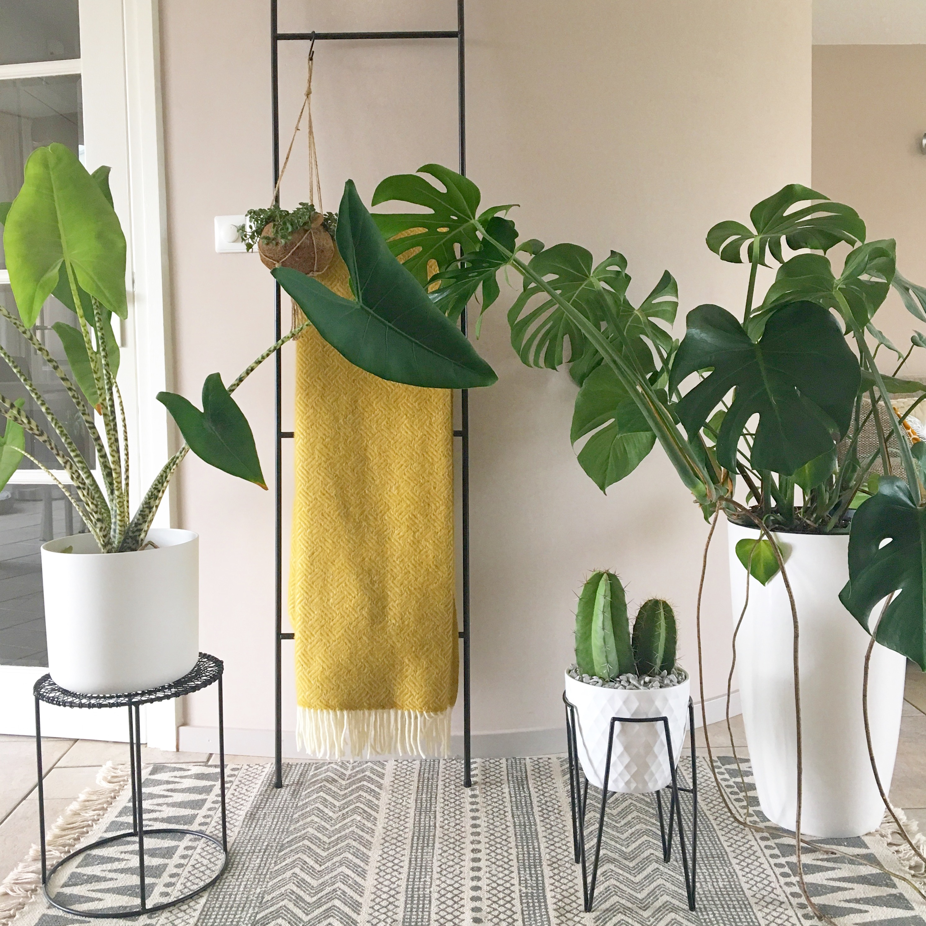 urban jungle monstera okergeel plaid