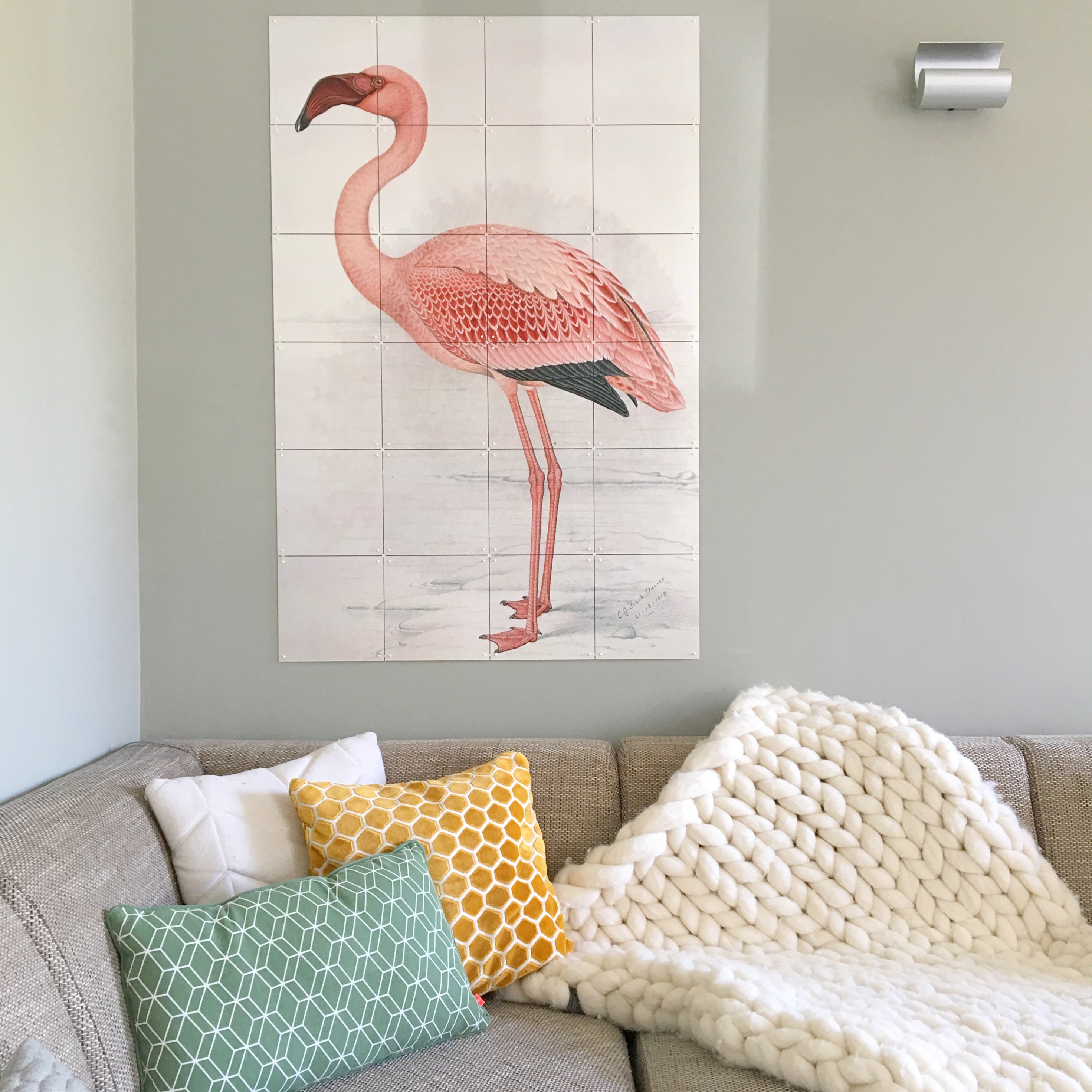 Claude Finch-Davies Greater Flamingo ixxi