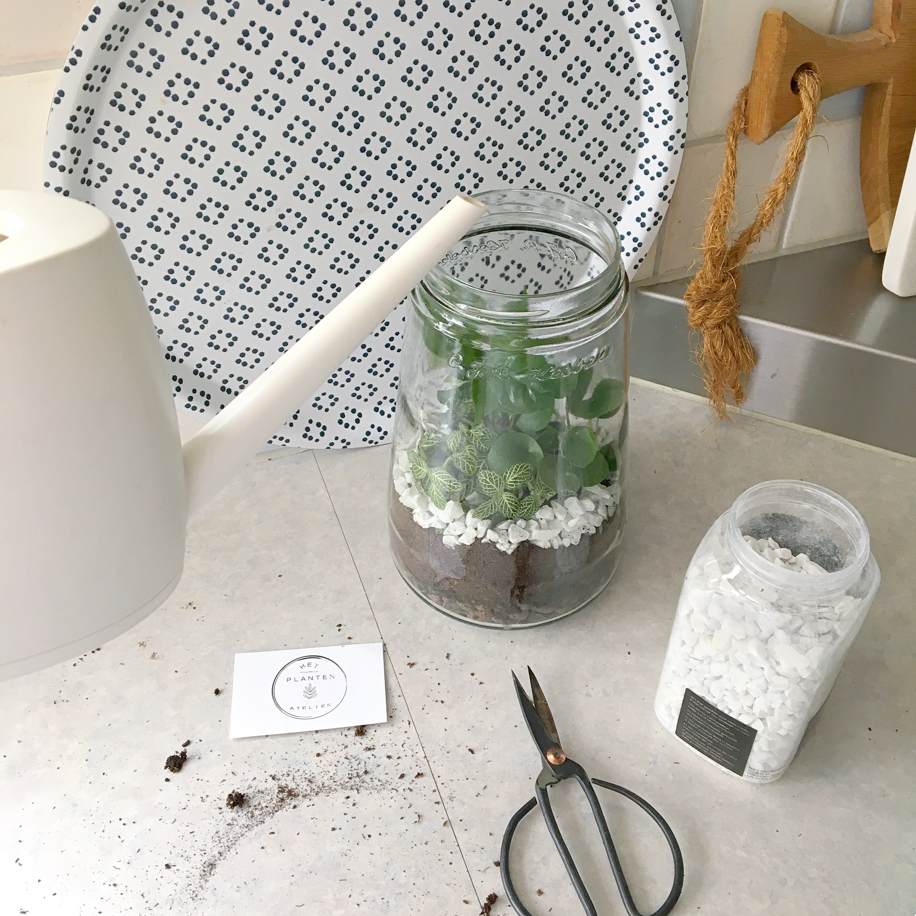 diy terrarium in kesbeke pot